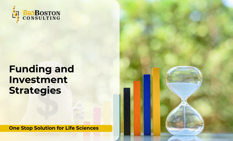 Why Are Funding and Investment Strategies Crucial for Life Sciences Companies?