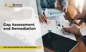 Gap Assessment and Remediation in Life Sciences Quality Management.