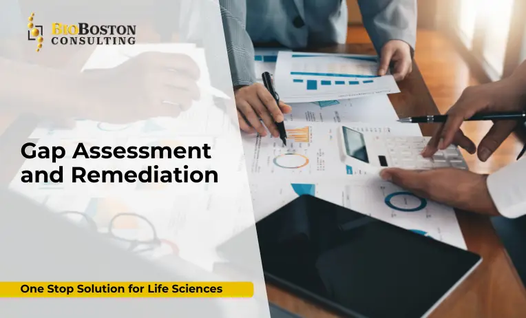 Gap Assessment and Remediation in Life Sciences Quality Management.