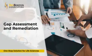 Gap Assessment and Remediation Services