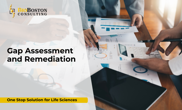 Gap Assessment and Remediation: Strengthening Compliance and Operational Excellence