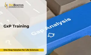 Why GxP Training Is Critical for Your Life Sciences Organization