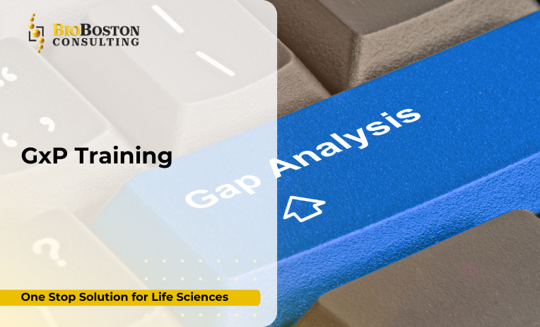 What Is GxP Training?