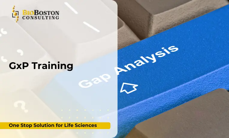 Why GxP Training Is Critical for Your Life Sciences Organization