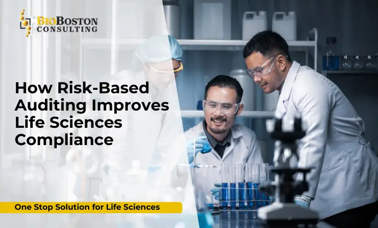 “Risk-Based Auditing in Life Sciences Compliance