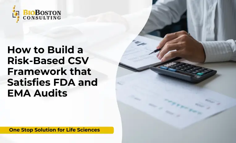 Risk-based computer system validation strategy for FDA and EMA compliance – BioBoston Consulting