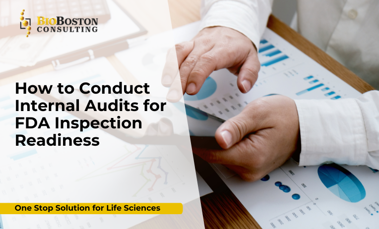 Quality team performing internal audit for FDA readiness in biotech facility