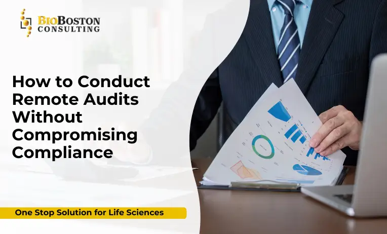 Remote audit video conferencing for GxP compliance
