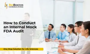 audit team conducting mock inspection
