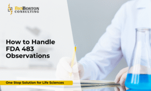 Biotech team reviewing FDA 483 observation report during post-inspection audit