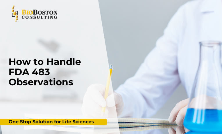 Biotech team reviewing FDA 483 observation report during post-inspection audit