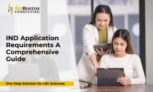 What Are the Key IND Application Requirements