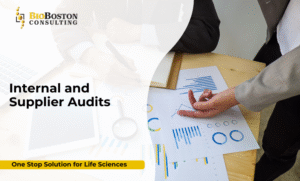 Quality auditor performing supplier audit