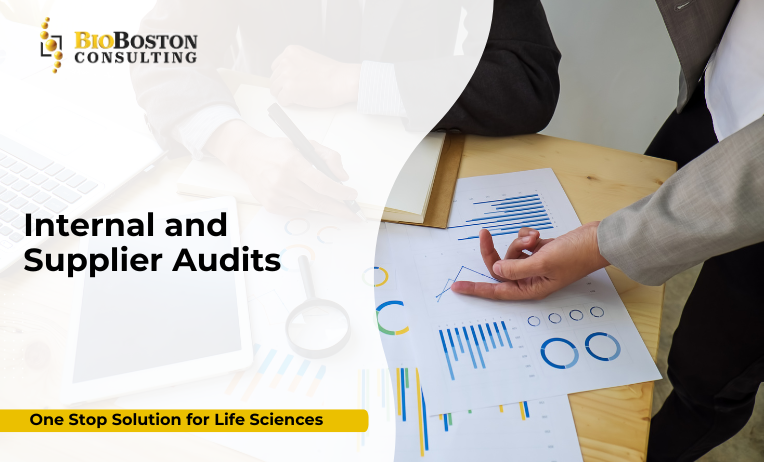 Quality auditor performing supplier audit