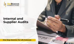 Understanding Internal and Supplier Audits in Life Sciences