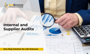 Life sciences internal audit documentation review