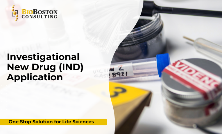 FDA IND application consulting services for clinical trials