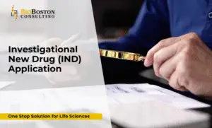 IND application preclinical data review