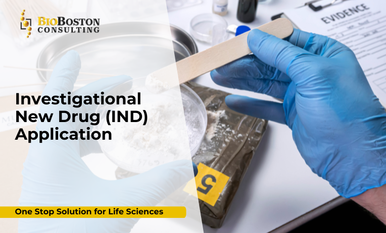 FDA IND submission process diagram