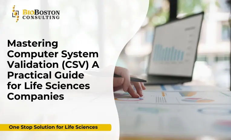 Mastering Computer System Validation (CSV) for life sciences companies – BioBoston Consulting
