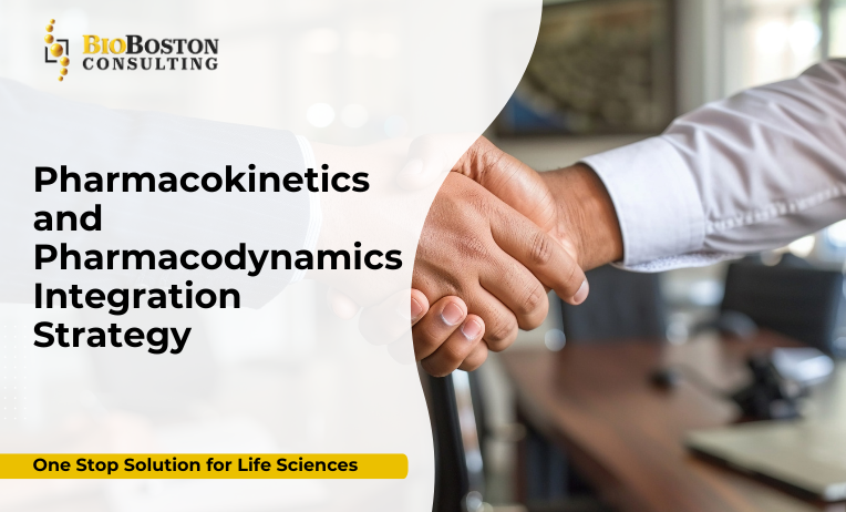 Pharmacokinetics and pharmacodynamics modeling curve
