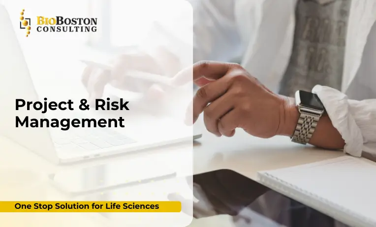 Risk heat map in biotech project management