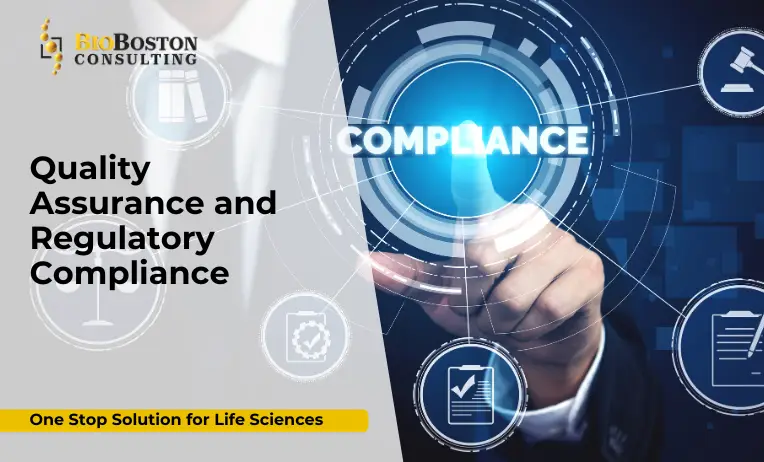 Life sciences quality assurance process