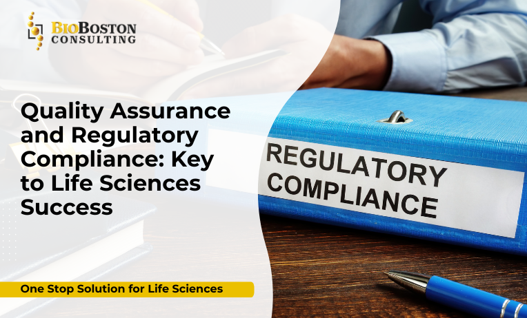 Quality assurance consulting for GMP compliance