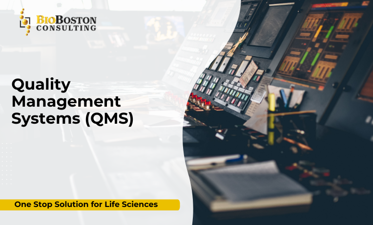 Life sciences QMS consultant conducting audit