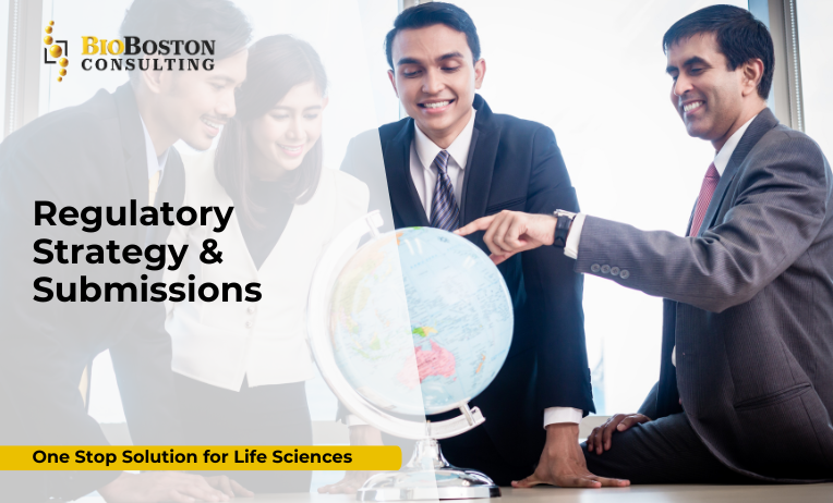 : Expert Regulatory Submissions Consulting – BioBoston Consulting