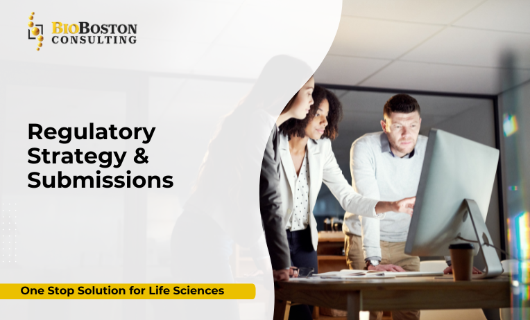 Global regulatory strategy and FDA submission consulting for life sciences