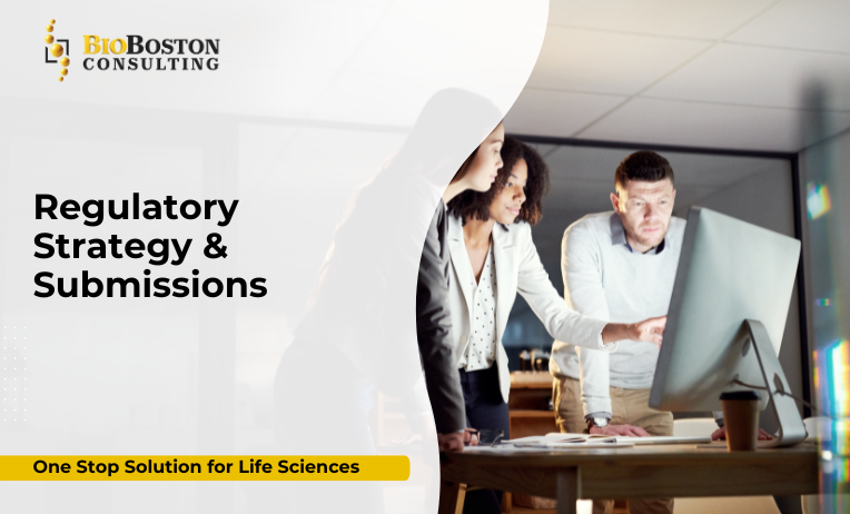 What Is Regulatory Strategy & Submissions?