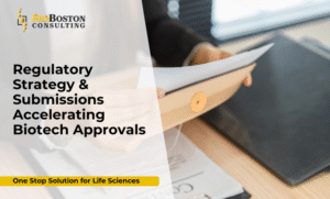 biotech regulatory submission workflow diagram
