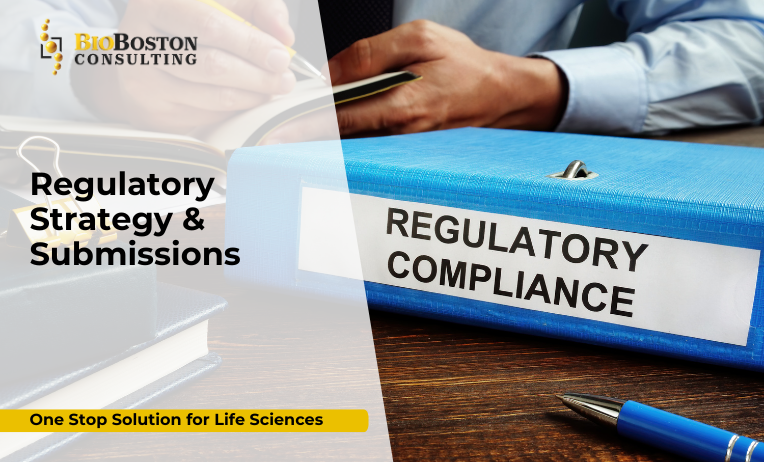 FDA regulatory submission for IND and NDA