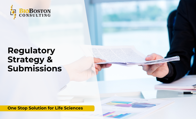 Who Manages Regulatory Strategy Within Your Organization?