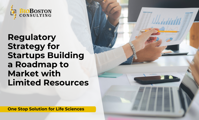 Regulatory Strategy for Startups: Navigating Market Entry with Limited Resources