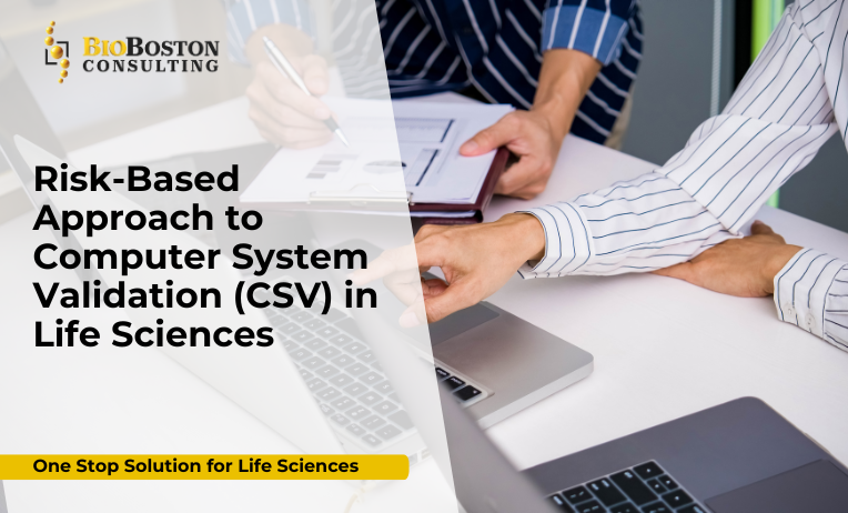 Risk-based computer system validation process in life sciences industry with FDA and EMA compliance focus