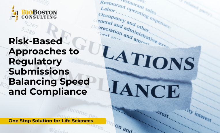 Risk-Based Regulatory Submissions: Achieving the Perfect Balance Between Speed and Compliance