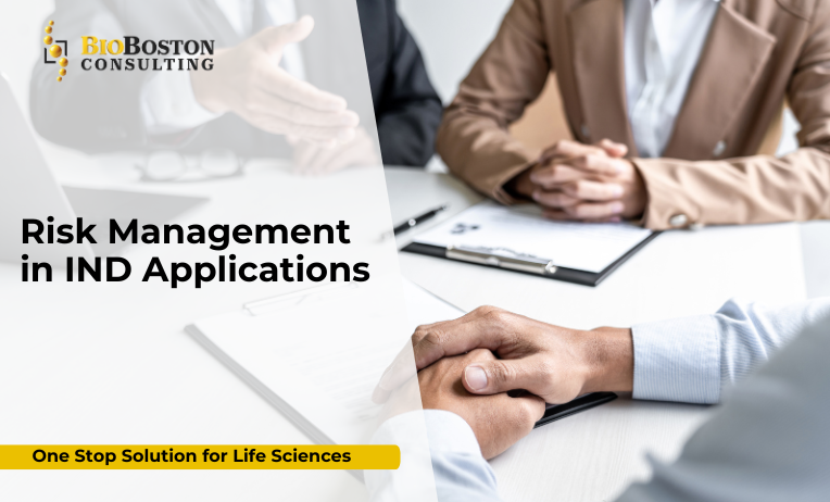 What are the key steps in risk management for IND submissions?