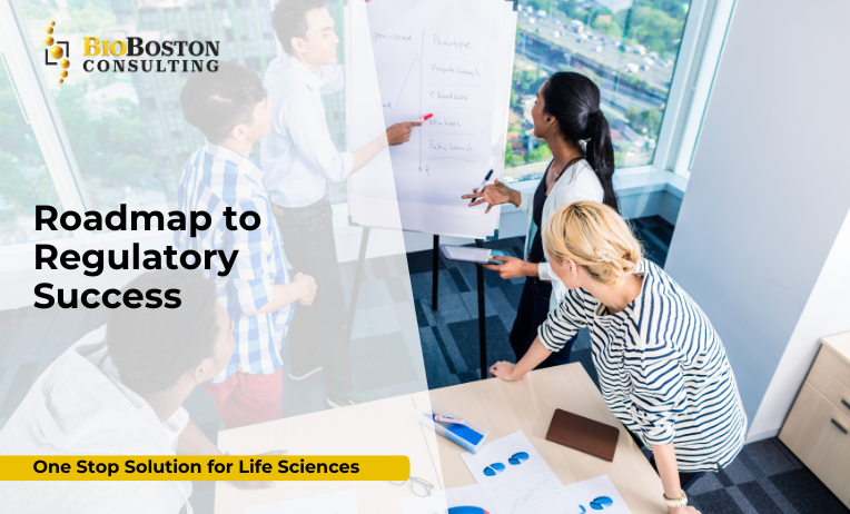 Regulatory Roadmap: Expert Submission Strategies