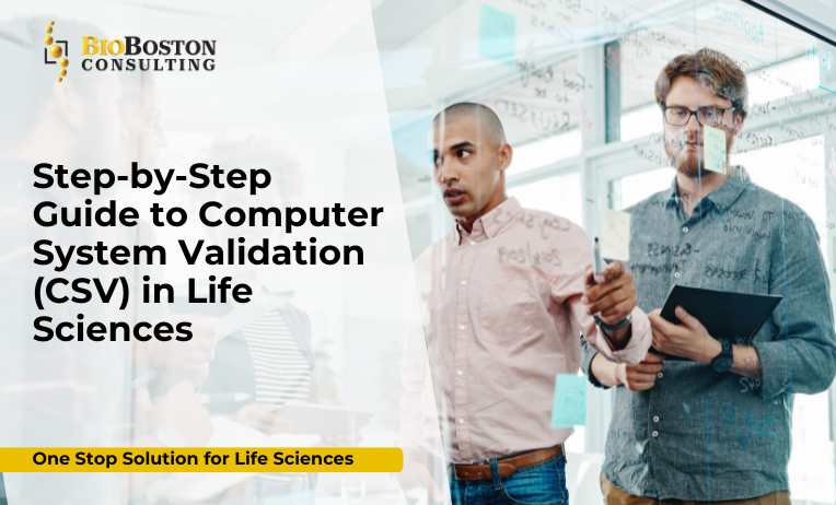 Step-by-step computer system validation process in life sciences ensuring FDA and EMA compliance