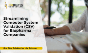 Streamlining computer system validation process for biopharma companies to ensure FDA and EMA compliance