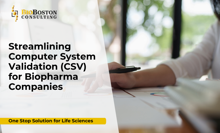 Streamlining computer system validation process for biopharma companies to ensure FDA and EMA compliance