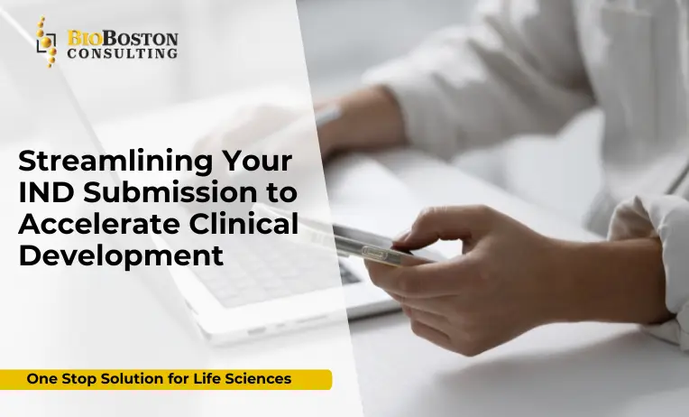 Best Practices to Streamline Your IND Submission