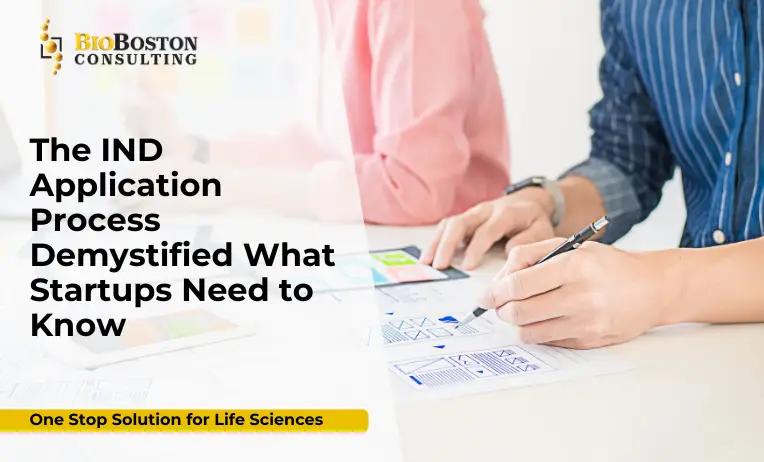 Common Challenges Startups Face During the IND Process