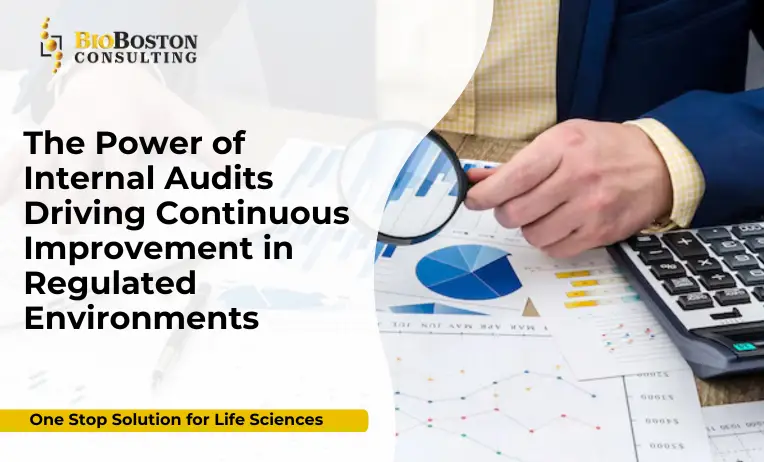 Unlocking the Power of Internal Audits: A Strategic Tool for Continuous Improvement in Regulated Environments