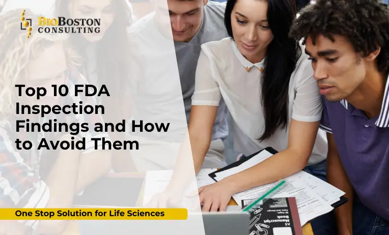 FDA inspection checklist