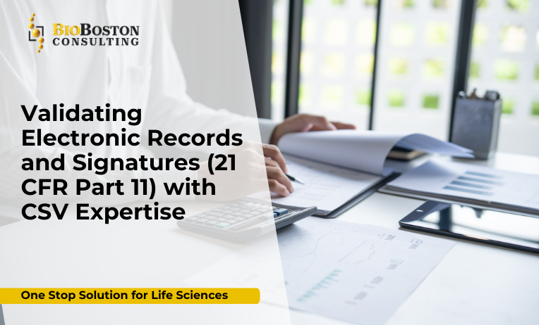 • Understanding the Importance of Validating Electronic Records and Signatures