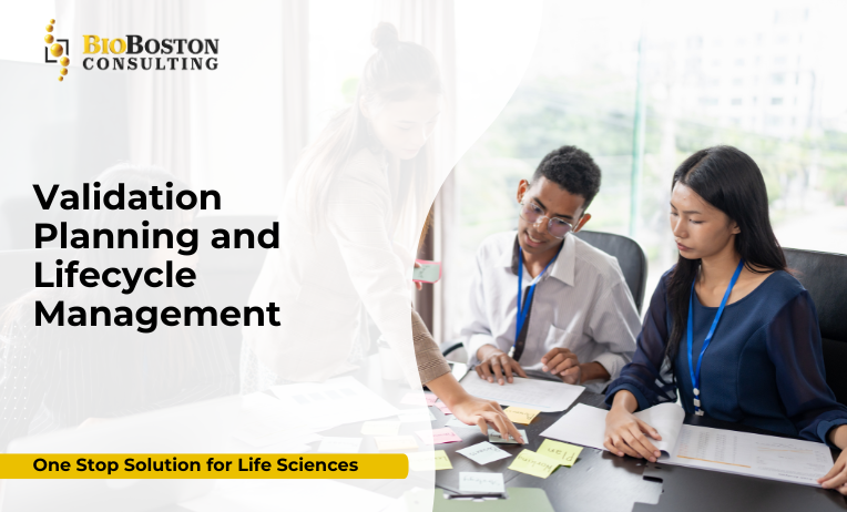 Lifecycle validation strategy ensuring product compliance and quality