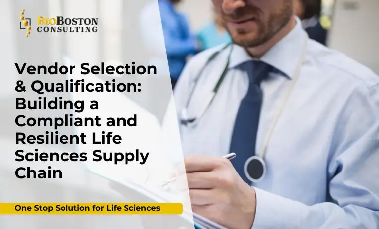 Key Stakeholders in Vendor Selection & Qualification